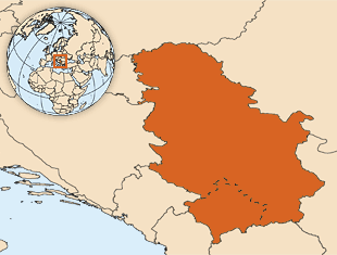 塞尔维亚人口数量