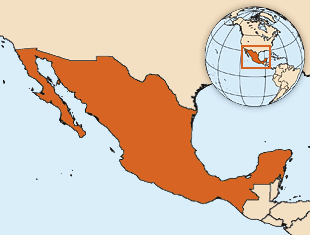 墨西哥人口数量