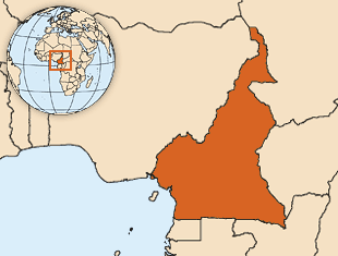 喀麦隆人口数量