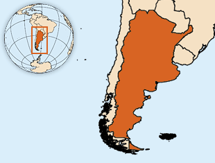 阿根廷人口数量