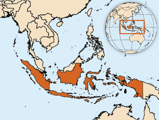 印度尼西亚人口数量