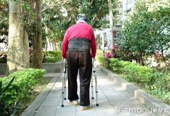 香港老年人口数量_未来50年台湾老年人