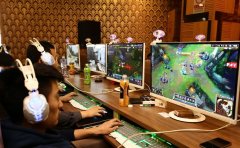 2018中国总人口数_中国PC在线玩家将达