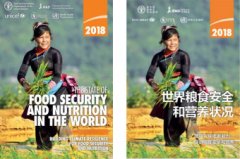 2018年世界饥饿人口_联合国报告：201