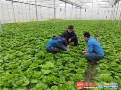 溧水县人口_1至9月南京溧水已集聚农业