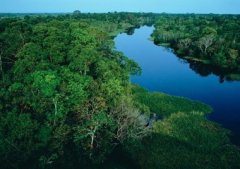 亚马孙河流域人口_亚马逊河流域的水