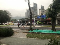 环境承载力与人口容量_深圳致11死暴雨