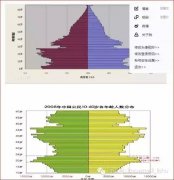 白岩松关于人口问题的访谈