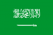 沙特阿拉伯人口数量2014-2015年_沙特阿拉伯人口数量