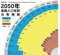 社会人口问题_日本的人口问题有多严