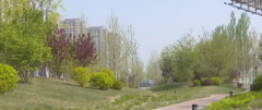 涿州市区人口_涿州新增公园绿地面积