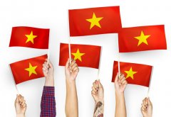 越南人口数_韩媒：中国整形游客数减