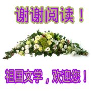 环县人口_2019甘肃庆阳市生态环境局环