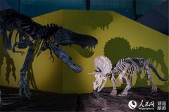 恐龙时代人口_湖南省地质博物馆4月