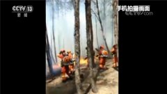 黑龙江省人口面积_黑龙江佳木斯山火