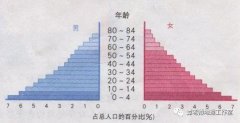 人口年龄结构_...人口迁移、人口数量