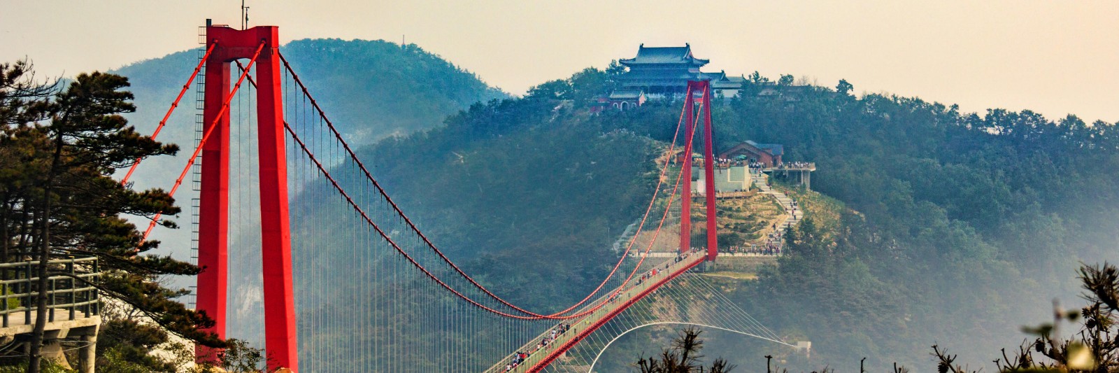 山东人口_2019年常住人口数据出炉山东排名全国第二