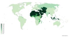 穆斯林人口_最强大的穆斯林国家,人口