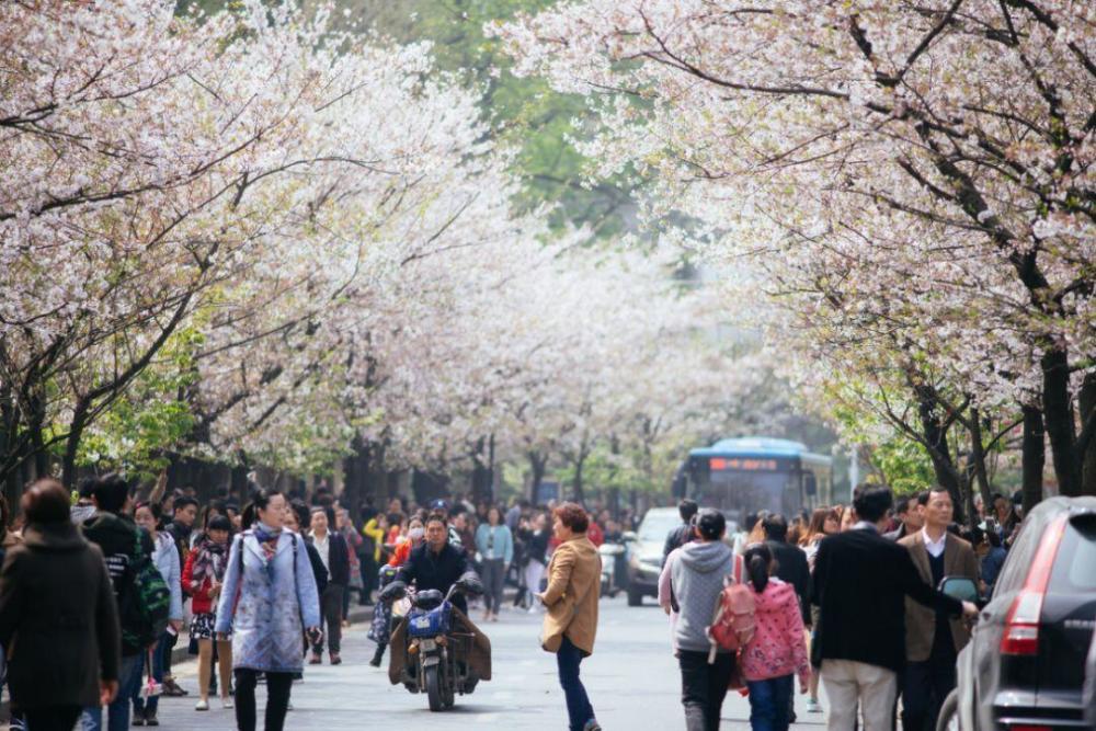 江苏省人口_“应种尽种”今年江苏将完成5600万人口疫苗接种