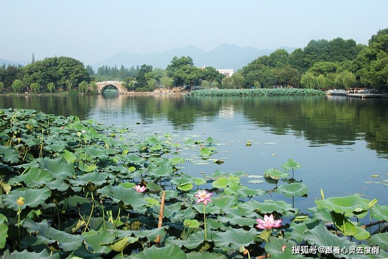 萧山区人口_杭州13个区县最新人口排名:萧山区135万最多,滨江区28万最少