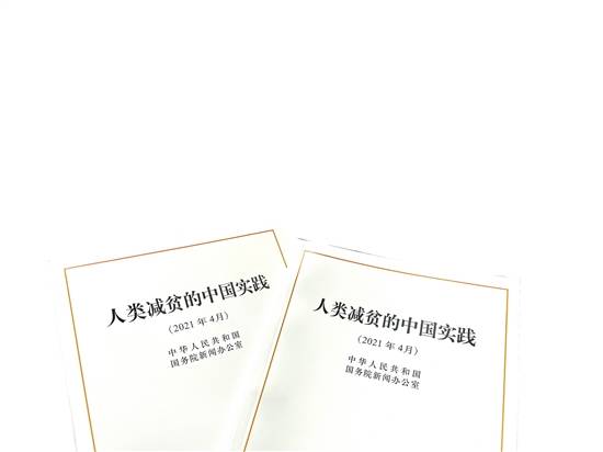 中国农村人口_乡村人口减少16436万人